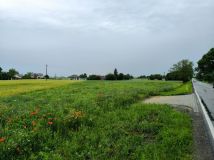 Działka budowlana Świątniki. Zdjęcie 3