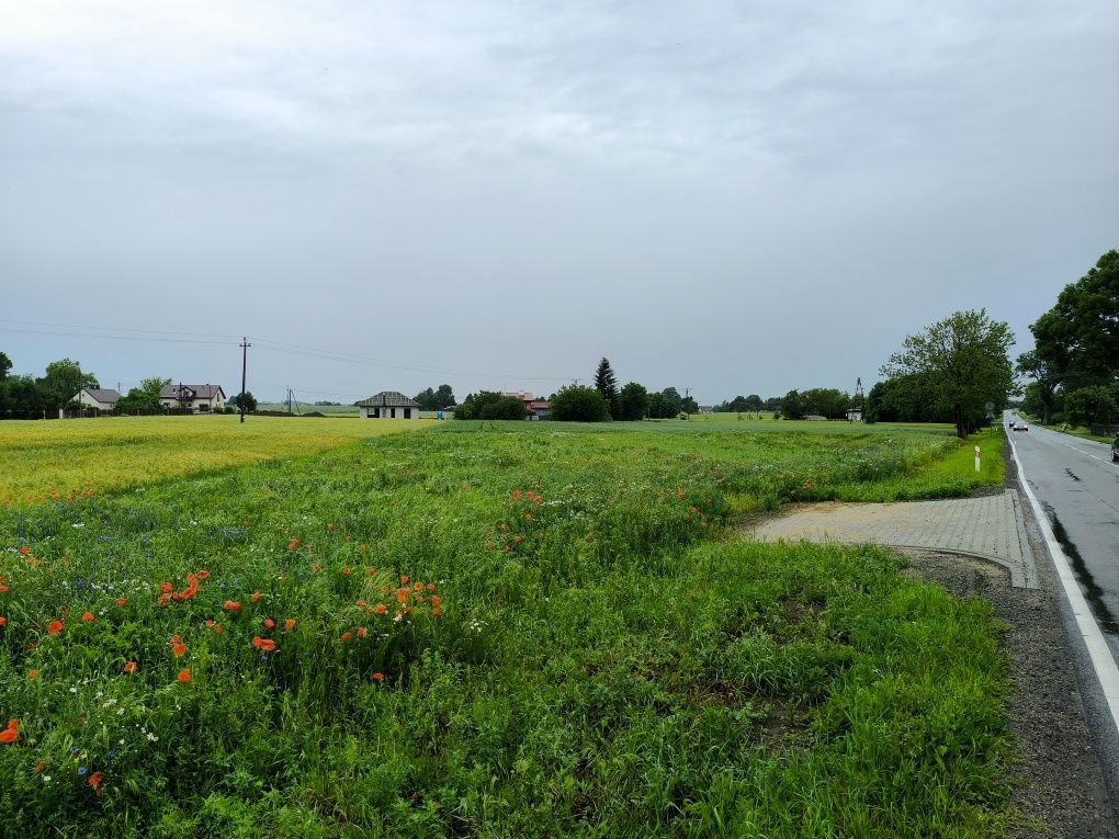 Działka budowlana Świątniki. Zdjęcie 4