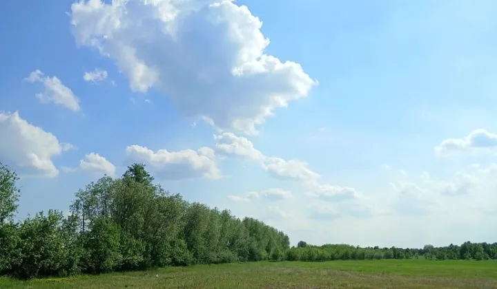 Działka budowlana Wincentów