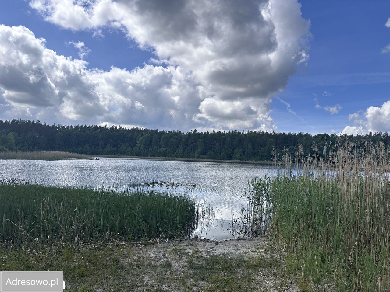 Działka rolno-budowlana Okunino. Zdjęcie 8
