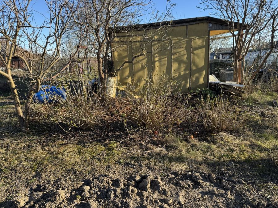 Działka rod Gdańsk, ul. Kampinoska. Zdjęcie 4