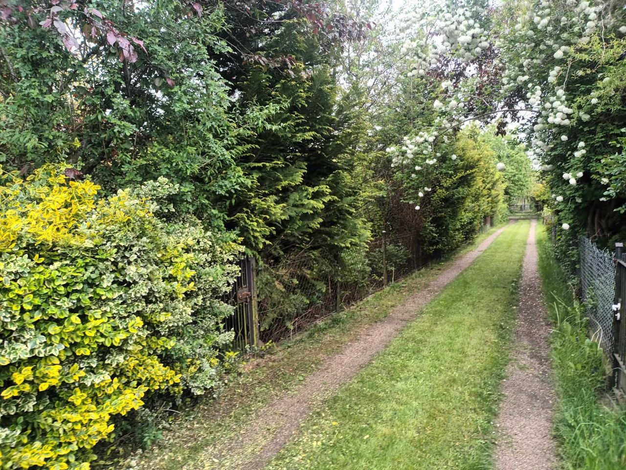 Działka rod Warszawa Mokotów. Zdjęcie 5