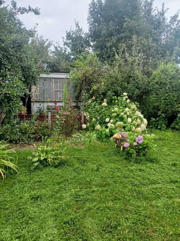 Działka rod Strzegom. Zdjęcie 8