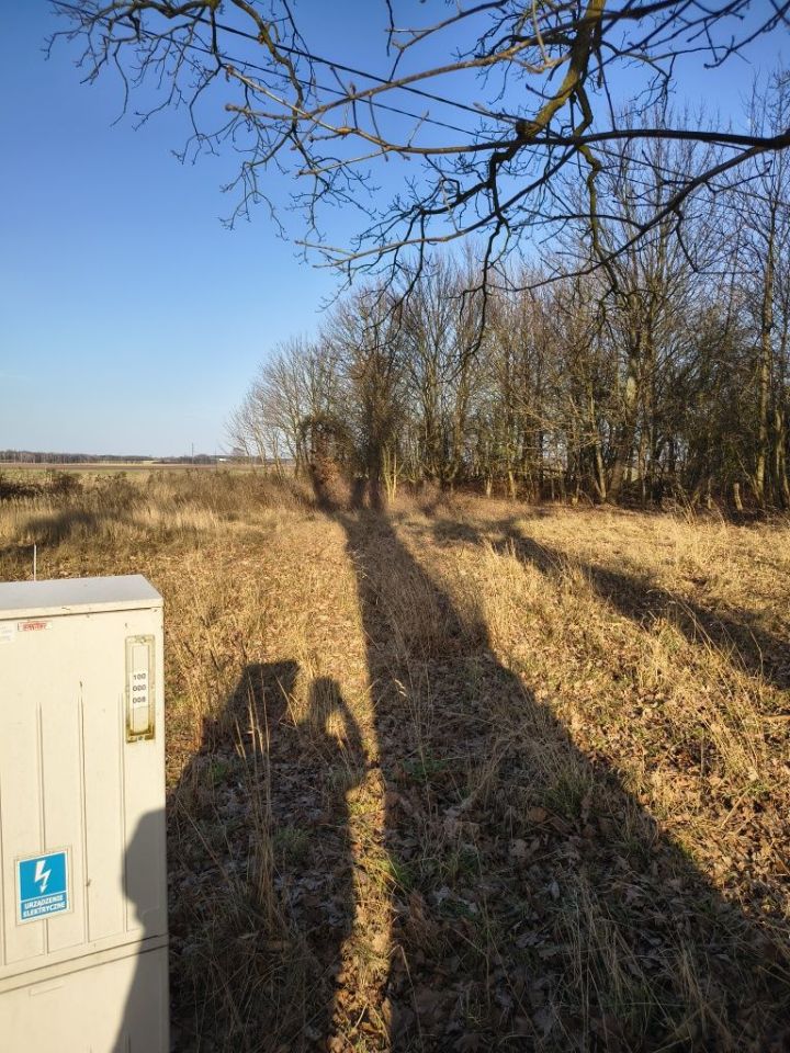 Działka rolno-budowlana Tarnówko. Zdjęcie 2