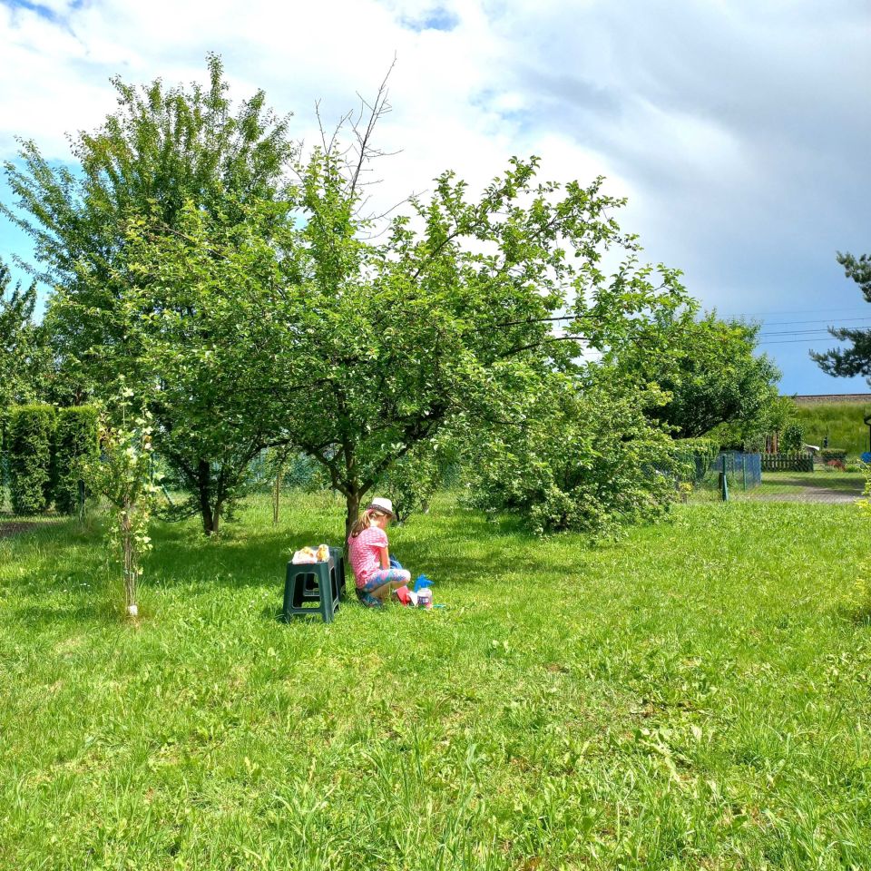 Działka rod Czechowice-Dziedzice. Zdjęcie 2