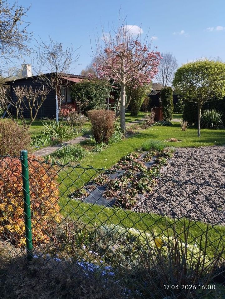 Działka rod Lubliniec, ul. Strzelecka. Zdjęcie 5