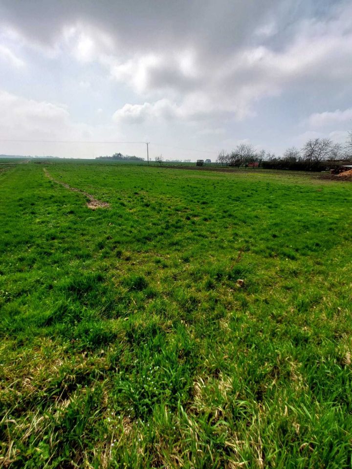 Działka budowlana Przylesie