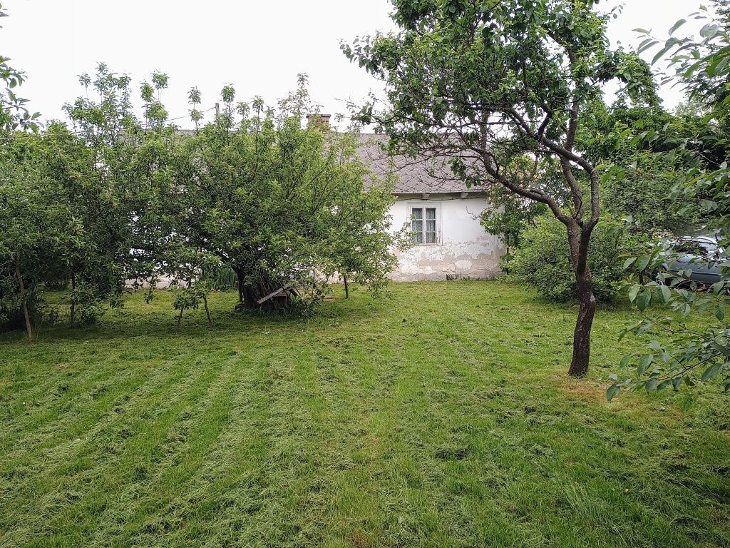 gospodarstwo Surhów. Zdjęcie 5