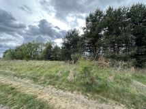 Działka rolno-budowlana Rogoźno, ul. Brzozowa. Zdjęcie 1