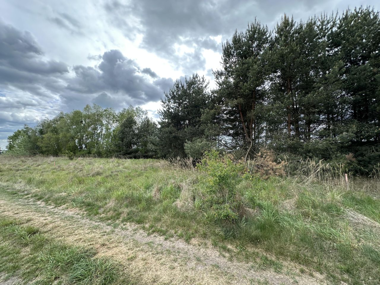 Działka rolno-budowlana Rogoźno, ul. Brzozowa. Zdjęcie 2