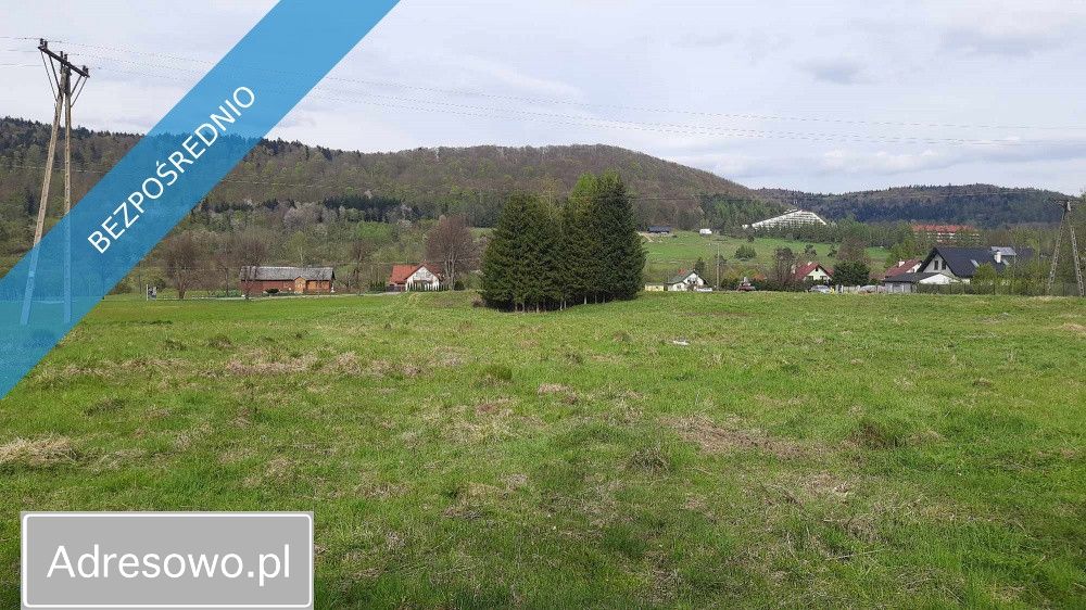 Działka rolna Wysowa-Zdrój. Zdjęcie 5
