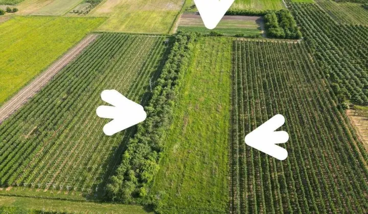 Działka rolna Czaplin