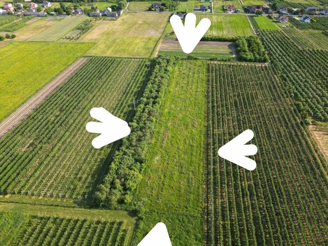 Działka rolna Czaplin