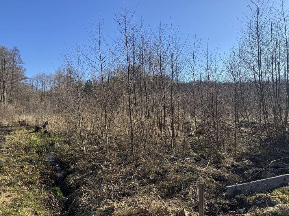 Działka budowlana Prądówka. Zdjęcie 2