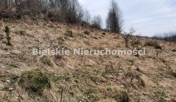 Działka leśna Nieledwia