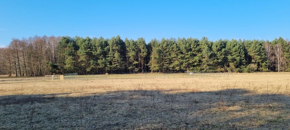 Działka rolno-budowlana Nowa Niedrzwica. Zdjęcie 5