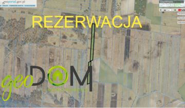 Działka leśna Pereszczówka