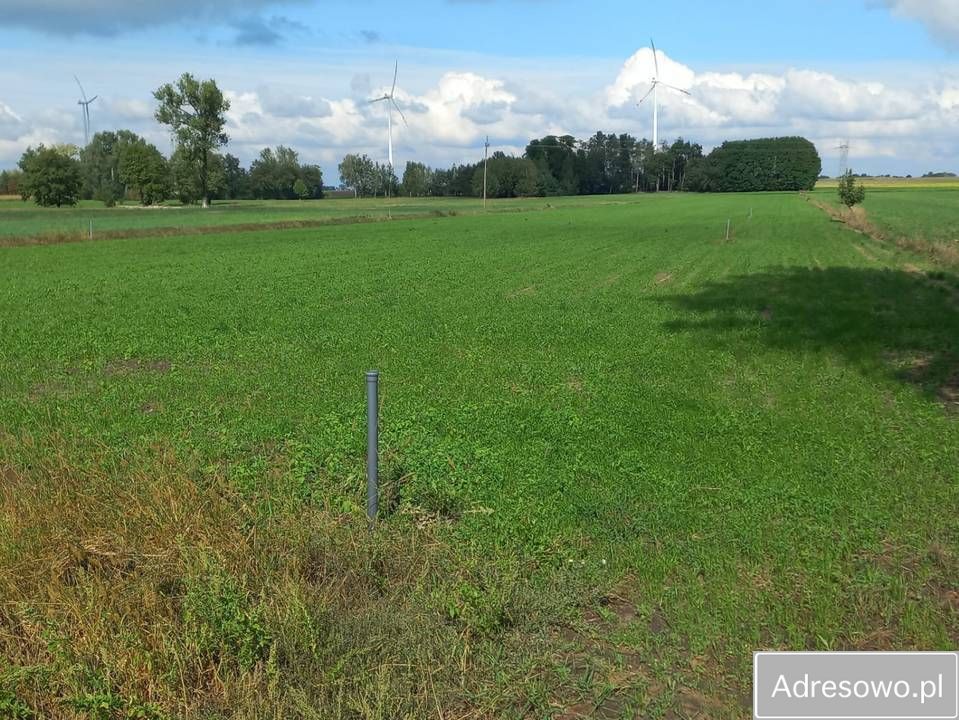 Działka budowlana Ignacew Folwarczny. Zdjęcie 9