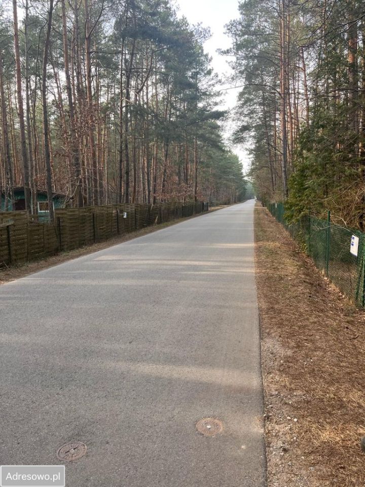 Działka leśna Wola Polska. Zdjęcie 6