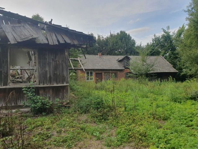 Działka rolno-budowlana Gniewięcin. Zdjęcie 1