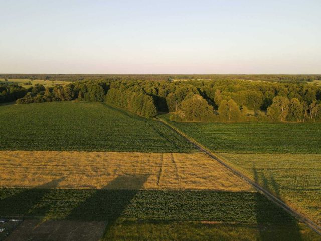 Działka budowlana Cekanów. Zdjęcie 1