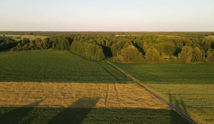 Działka budowlana Cekanów