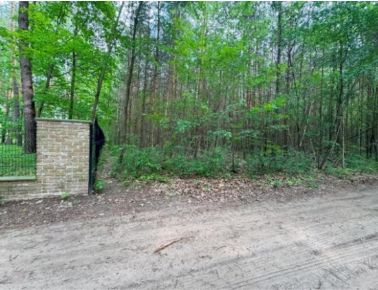 Działka leśna Nadarzyn, ul. Sęczkowa. Zdjęcie 1