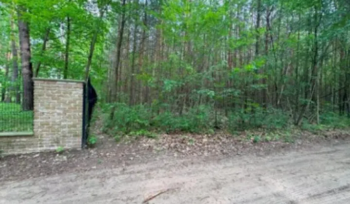 Działka leśna Nadarzyn, ul. Sęczkowa