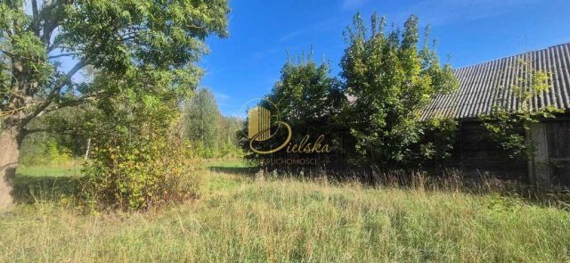 siedlisko, 3 pokoje Bierniki. Zdjęcie 5