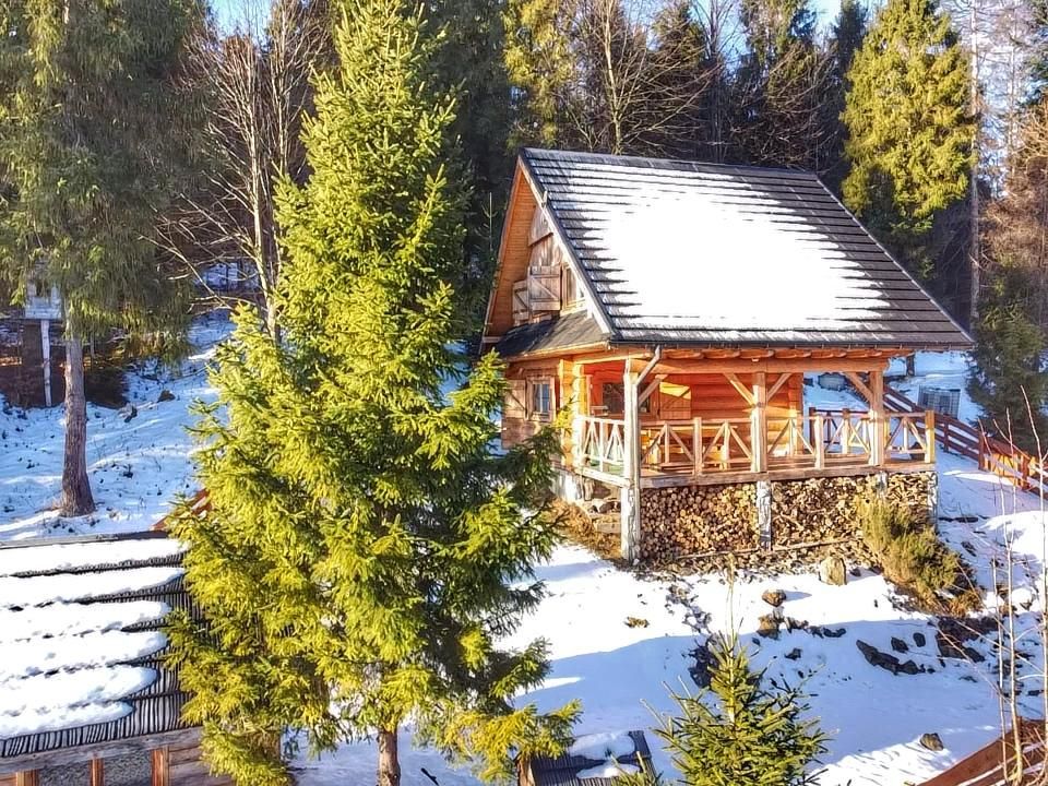 dom wolnostojący, 3 pokoje Brenna Leśnica, ul. Pasternik. Zdjęcie 2