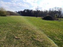 Działka rolna Kożuszki. Zdjęcie 2