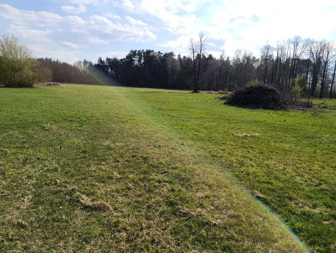 Działka rolna Kożuszki. Zdjęcie 3