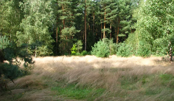 Działka budowlana Naglady