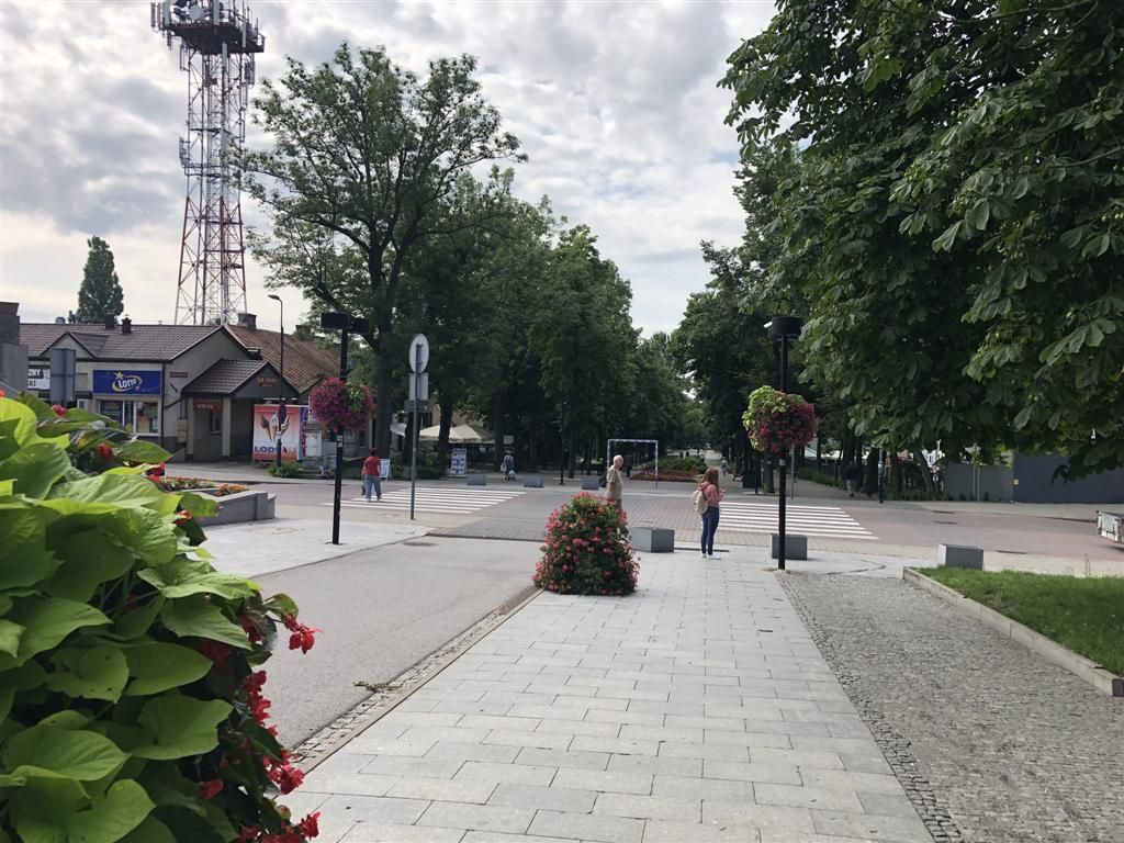 Nieruchomość komercyjna Busko-Zdrój, ul. Adama Mickiewicza. Zdjęcie 3