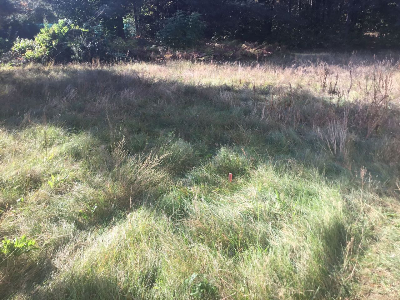 dom wolnostojący Trzcianka. Zdjęcie 8