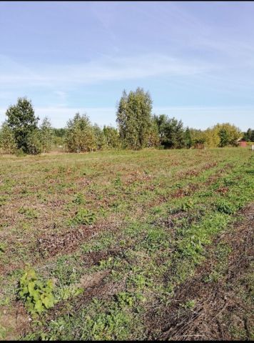 Działka budowlana Wielgolas Brzeziński. Zdjęcie 1