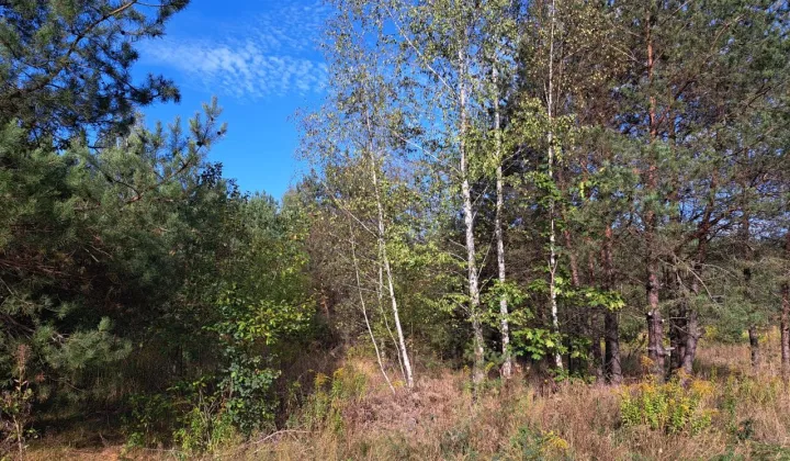 Działka budowlana Białystok Bagnówka, ul. Łucji Prus