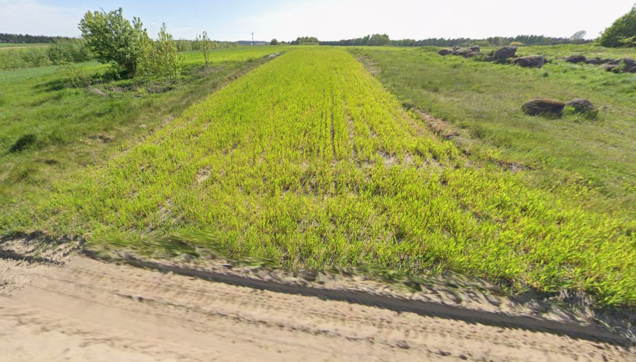 Działka rolna Iłża Wójtostwo, ul. Wójtowski Młyn. Zdjęcie 2