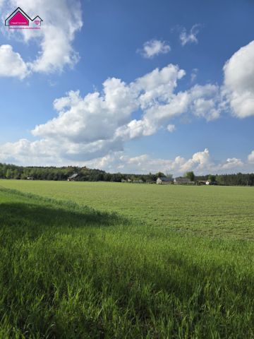 Działka rekreacyjna Skrzynka. Zdjęcie 8
