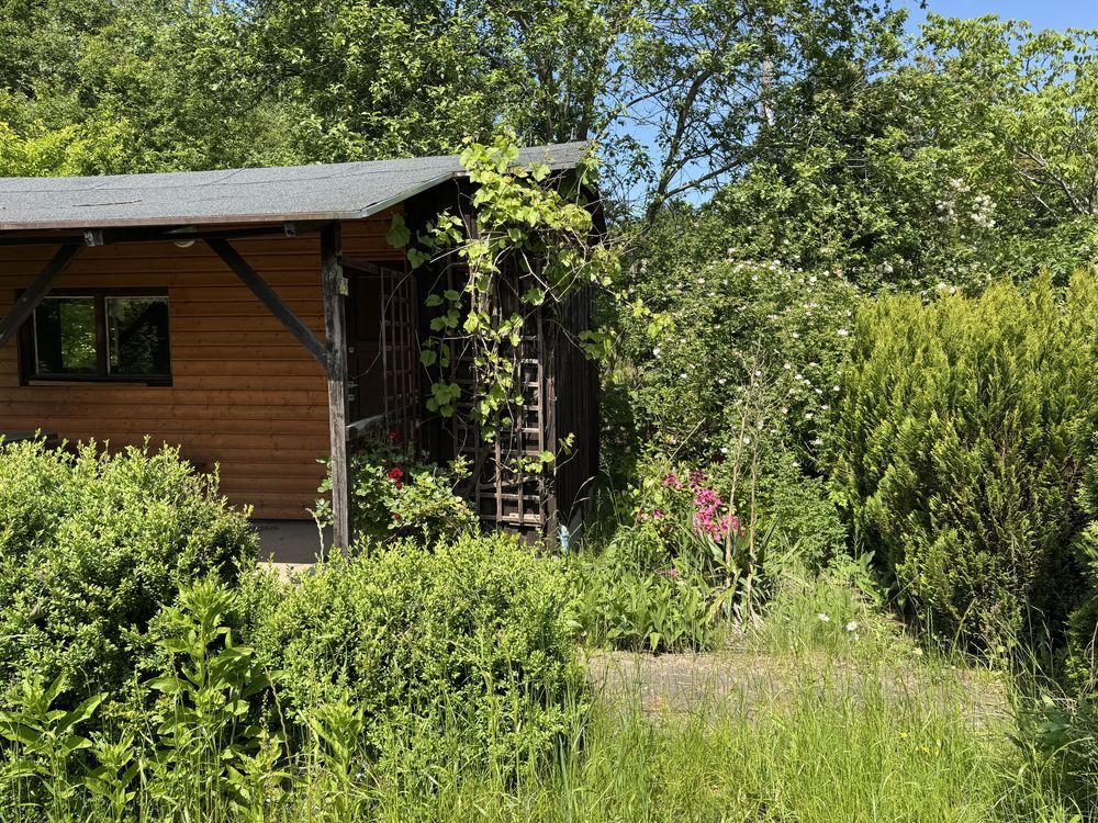 Działka rod Gdańsk Owczarnia. Zdjęcie 5