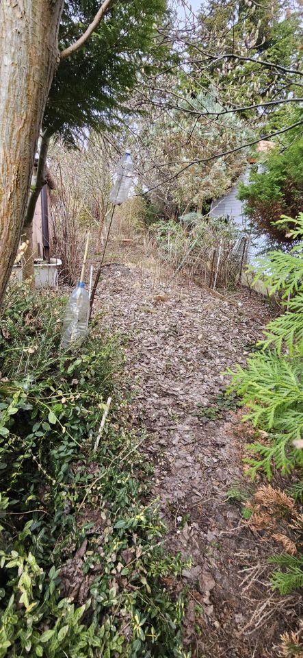 Działka rod Odrano-Wola, ul. Niedźwiedzia. Zdjęcie 8