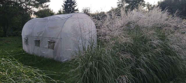 Działka rod Lublin. Zdjęcie 1