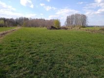 Działka rolna Kożuszki. Zdjęcie 1