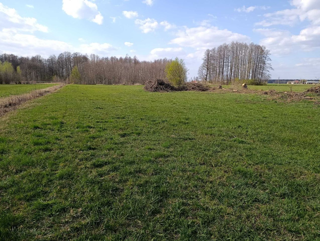 Działka rolna Kożuszki. Zdjęcie 2