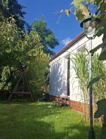 Działka rod Mościenica, os. Świerkowe. Zdjęcie 1