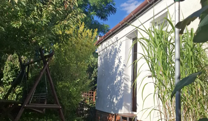 Działka rod Mościenica, os. Świerkowe
