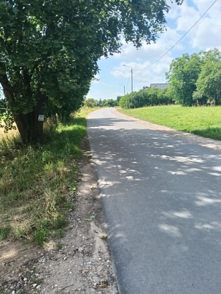 Działka budowlana Roztocze. Zdjęcie 4