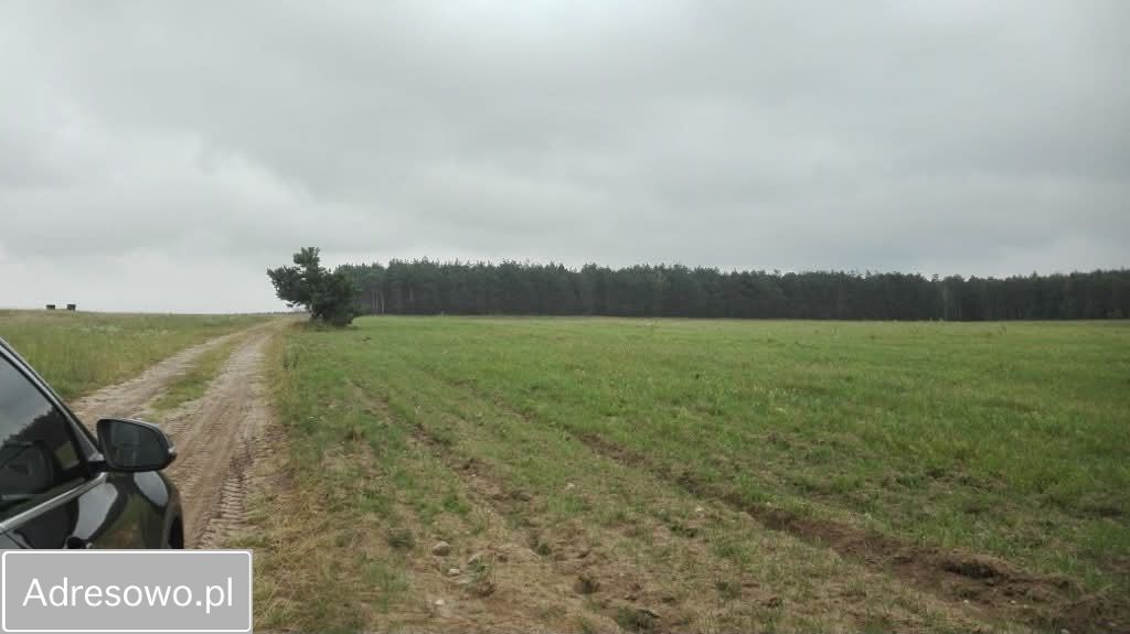 Działka rekreacyjna Filice. Zdjęcie 4
