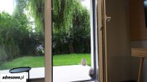 Mieszkanie 2-pokojowe Poznań Stare Miasto, ul. Ziarnista. Zdjęcie 1