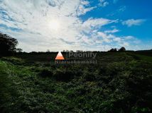 Działka budowlana Dziadowo. Zdjęcie 4